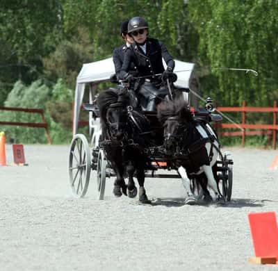 Inlägg 13 av Utställning