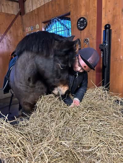 Inlägg 11 av Allround