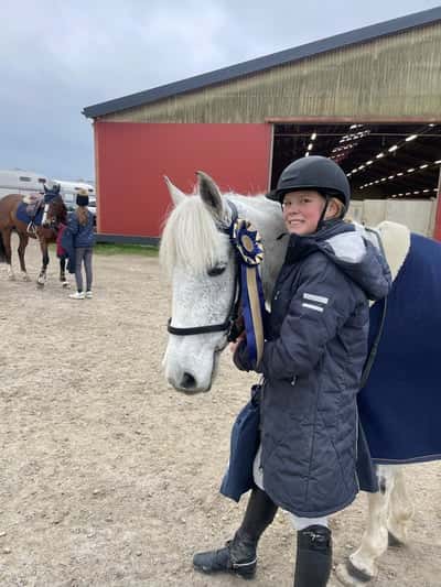 Inlägg 24 av Frihetsdressyr med titeln älskar dig Hili!!❤️