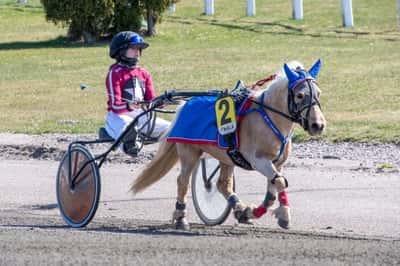 Inlägg 90 av Ponnytrav med titeln Ponnytrav 
