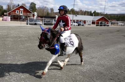 Inlägg 17 av Monté med titeln Monte