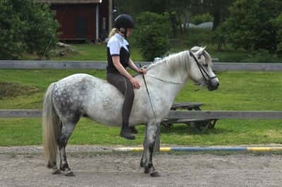 Inlägg 38 av Allround