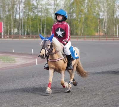 Inlägg 13 av Monté med titeln Monte 