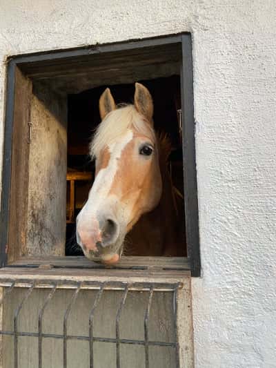 Inlägg 12 av Hunting