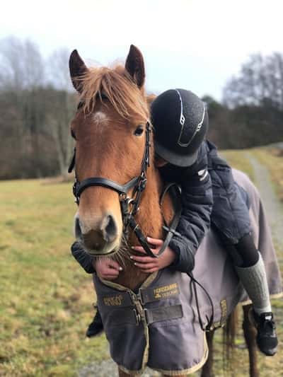 Inlägg 21 av Allround