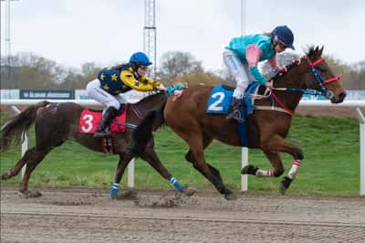 Inlägg 5 av Galopp med titeln Sista galopptävlingen för iår❤️‍🔥