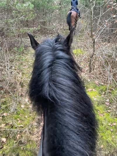 Inlägg 25 av Allround