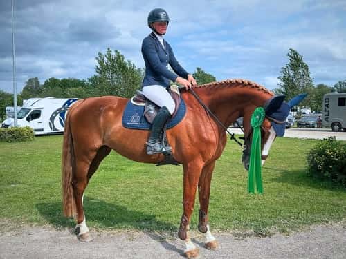 Bild av Sto e. Quinturo tävlad upp till 130 cm