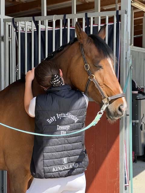 Bild av FEI ponny med Power 💥