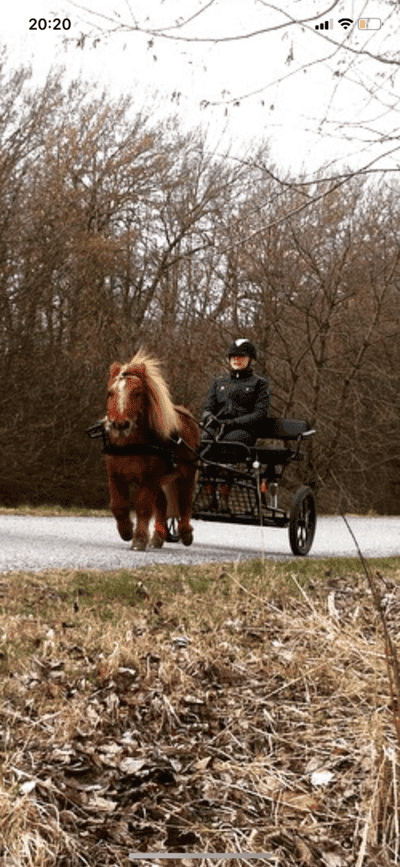Inlägg 11 av Sportkörning med titeln Ägarbyte till nuvarande hem