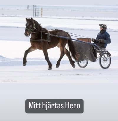 Inlägg 9 av Trav med titeln Hero