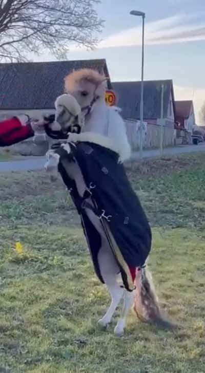 Inlägg 4 av Allround