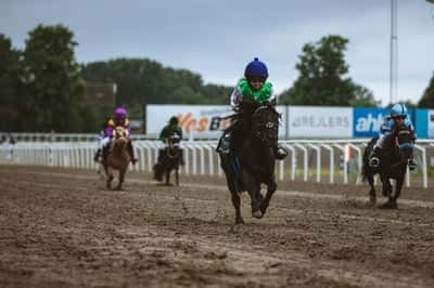 Inlägg 32 av Galopp med titeln Första loppet! Triton Hästarnas mästare 🥈🌟💚