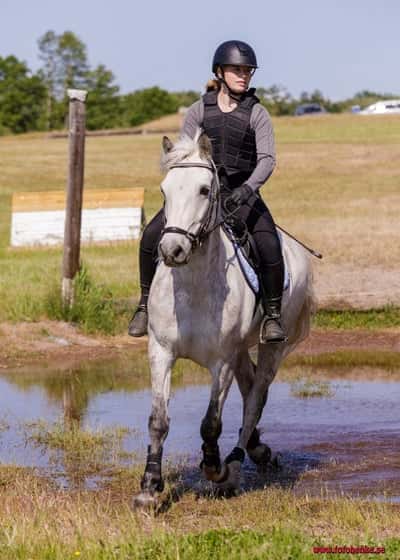 Inlägg 26 av Fälttävlan