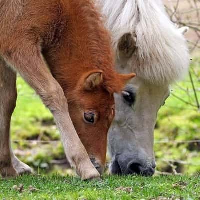 Inlägg 106 av Allround med titeln Mor och dotter.