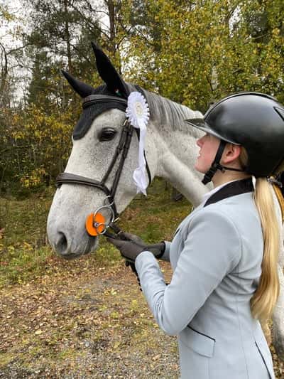 Inlägg 64 av Allround