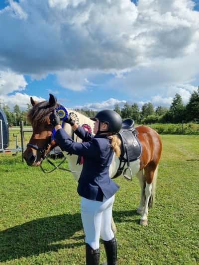 Inlägg 41 av Island med titeln Klubbmästare 