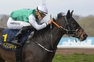 Inlägg 83 av Galopp med titeln Winner 🏆