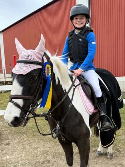 Inlägg 14 av Irländsk Sporthäst med titeln Andraplats (men fick låna Sams rosett) ⭐️