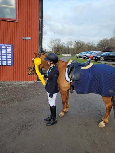 Post 471 of Show jumping