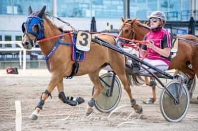 Inlägg 38 av Ponnytrav med titeln DPK’s ponnytravgala