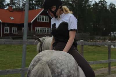 Inlägg 35 av Allround