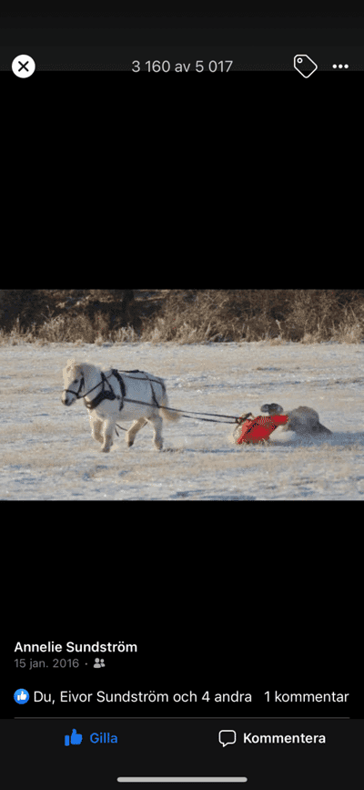 Inlägg 12 av Allround med titeln Tolka 