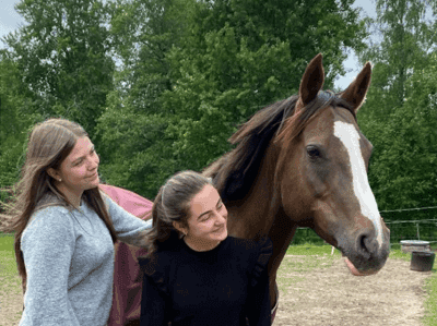 Inlägg 1 av Irländsk Sporthäst med titeln Aughavannon Margurite fick ny ägare
