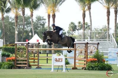 Post 2 of Show jumping with title GP-kvalsseger i Wellington 🇺🇲