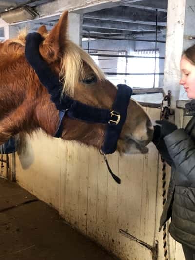 Inlägg 148 av Allround med titeln Min syster och min häst🍃