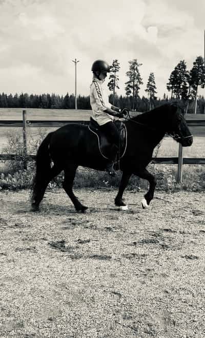 Inlägg 14 av Island med titeln 🔥🙌🤩❤️