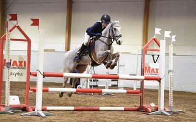 Inlägg 29 av Allround