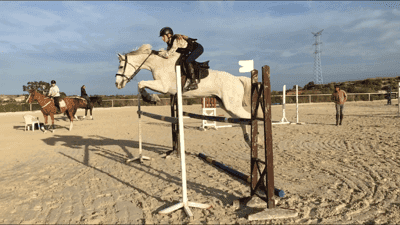 Inlägg 112 av Allround