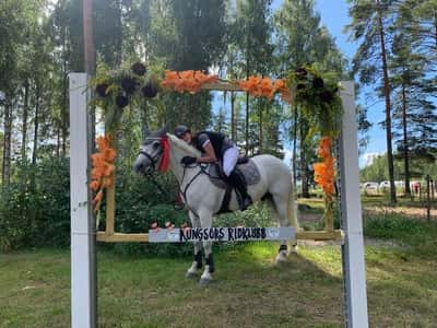 Inlägg 15 av Fälttävlan med titeln Våran första tävling och vi blev placerade för vi var snabba och jag rev inte något hinder👌🏻