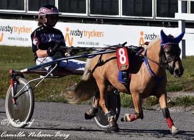Inlägg 30 av Ponnytrav med titeln DPK’s Ponnytravgala 