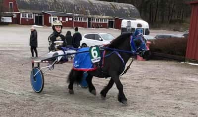 Inlägg 4 av Ponnytrav med titeln Ponnytrav 