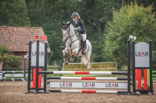 Image of 🌟Oslipad diamant för de högsta klasserna🌟