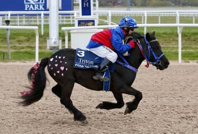 Inlägg 12 av Ponnygalopp med titeln Ponnygalopp 
