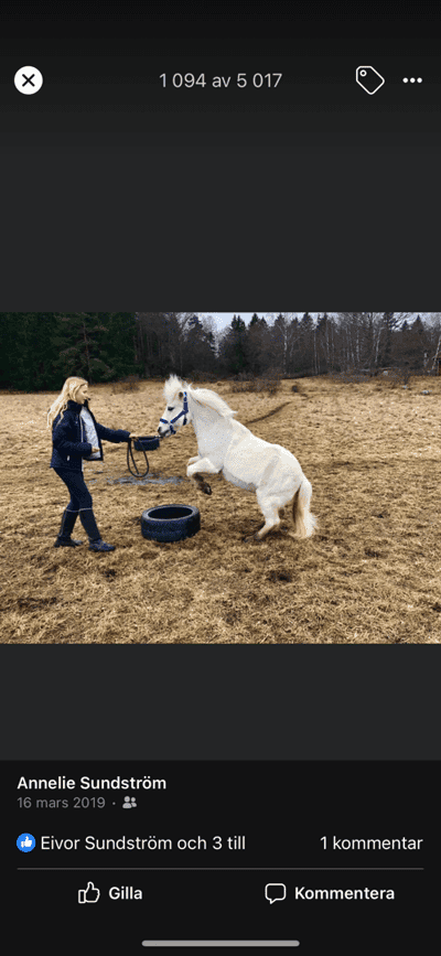 Inlägg 23 av Allround med titeln Stegra 