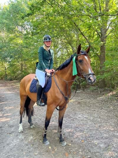 Post 393 of Show jumping with title Stævne