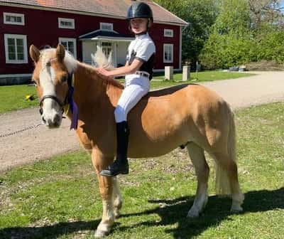 Inlägg 3 av Allround med titeln Debuterade i kungsör