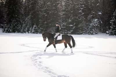 Inlägg 172 av Allround