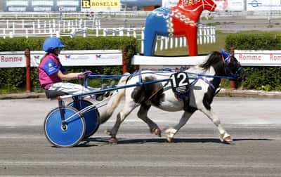 Inlägg 22 av Ponnytrav med titeln DPK’s ponnytravgala 2023 🏆