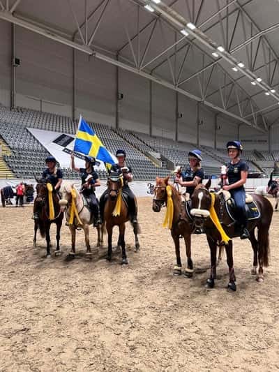 Inlägg 4 av Dansk Sportponny med titeln KINGSLAND OSLO HORSE SHOW 2022🥉🌟