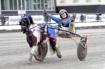 Inlägg 35 av Ponnytrav med titeln Ponnytrav 