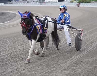 Inlägg 120 av Ponnytrav med titeln DPK’s Ponnytravgala 