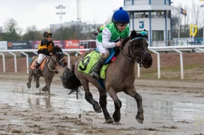 Inlägg 51 av Galopp med titeln Ville och Araceli vinner säsongspremiären på Jägersro 🏆🥇🌟