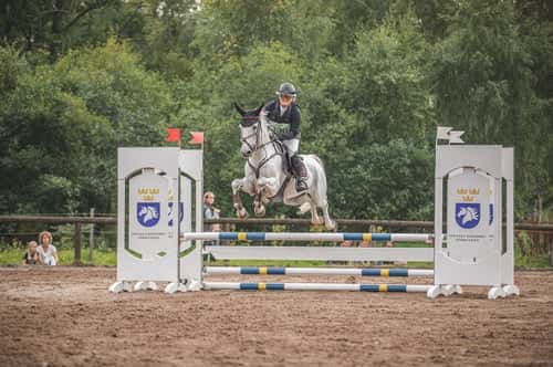 Image of 🌟Oslipad diamant för de högsta klasserna🌟