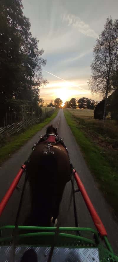 Inlägg 1 av Sportkörning med titeln Det börjar bli höst 