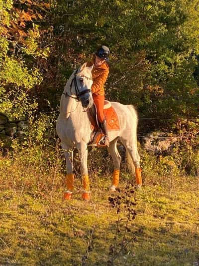 Electric Entertainer